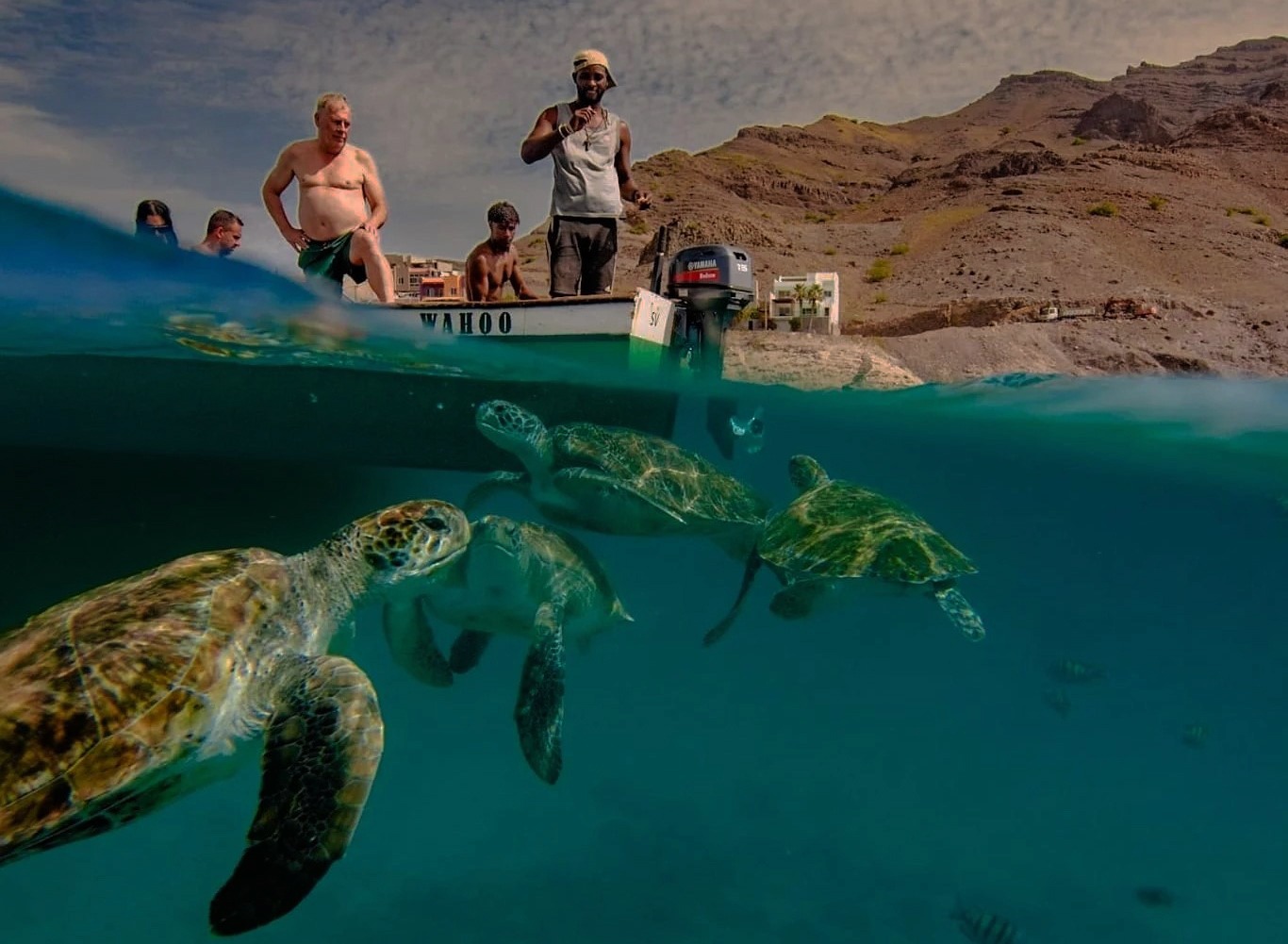 Turtle with Snorkelling